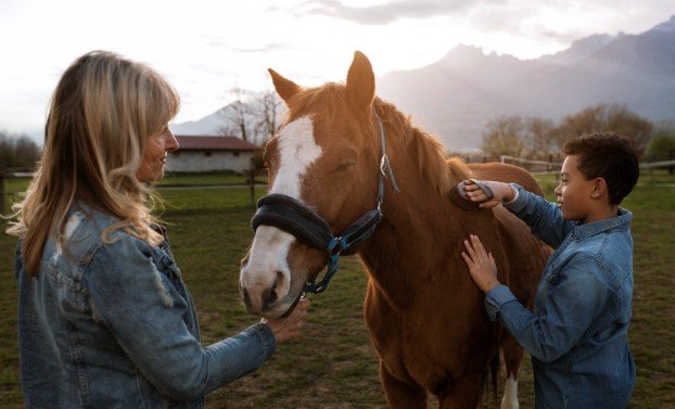 Book Pony Rides or a Petting Zoo
