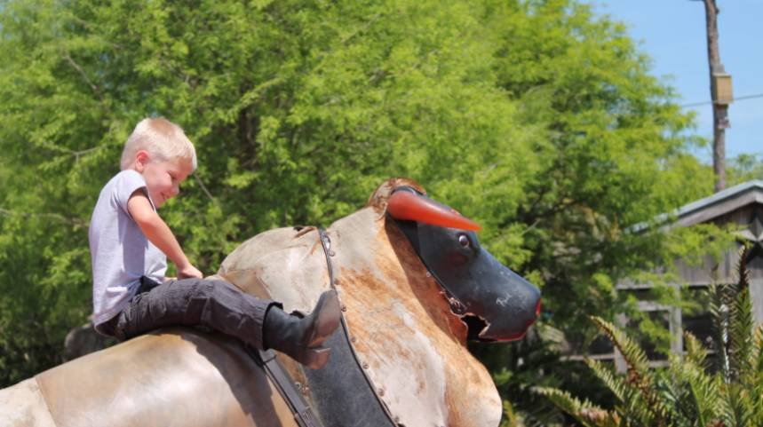 How to Balance on a Mechanical Bull: Stay Centered