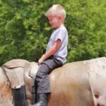 Mechanical Bull Riding Tips for Beginners That Work