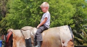Mechanical Bull Riding Tips for Beginners That Work