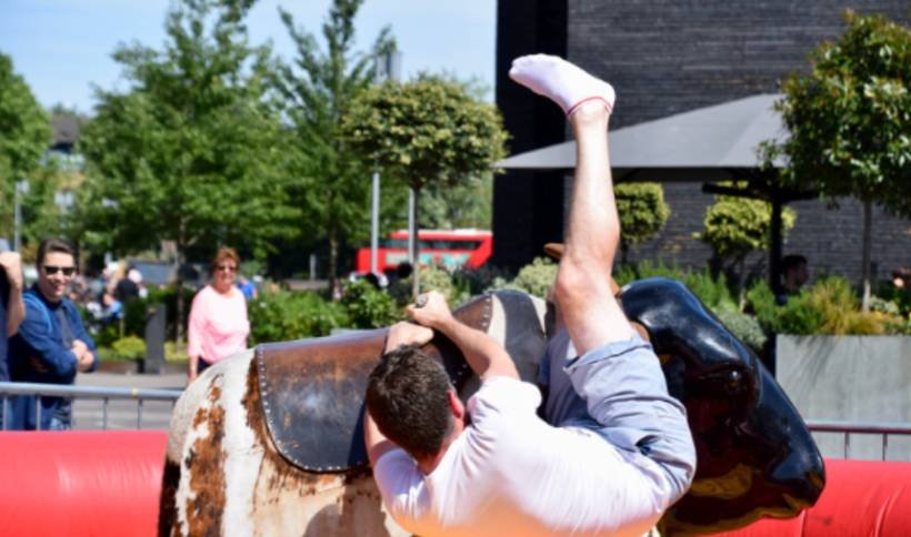 Move With the Bull Instead of Fighting It