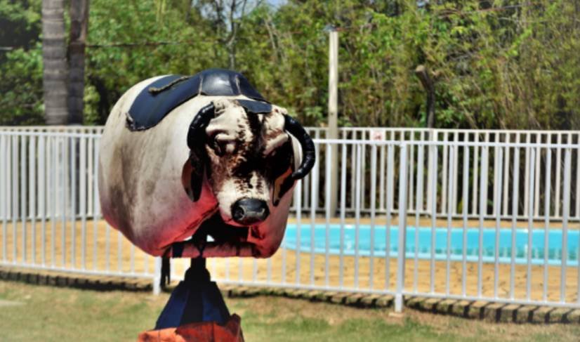 Use the Correct Mechanical Bull Riding Posture